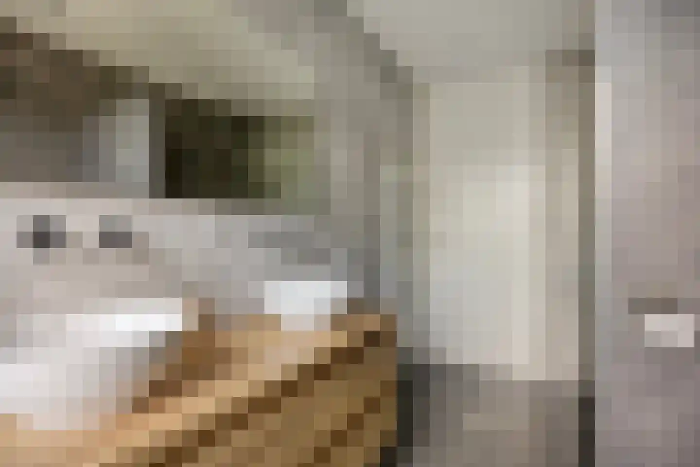 Graan voor Visch 43 Waddinxveen thumbnail 23
