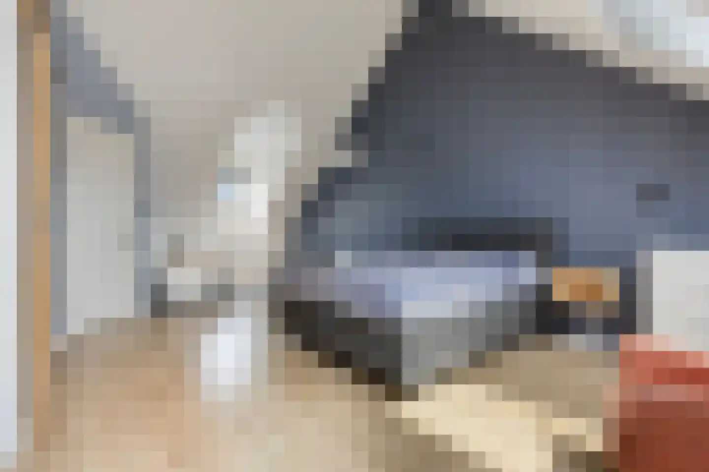Graan voor Visch 43 Waddinxveen thumbnail 26
