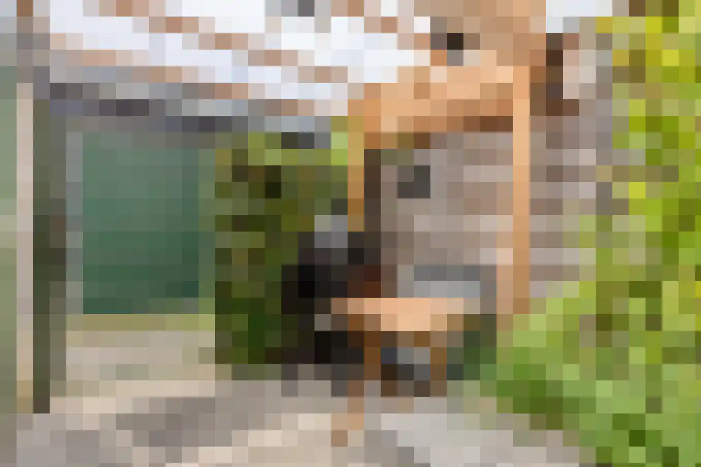 Graan voor Visch 43 Waddinxveen thumbnail 32