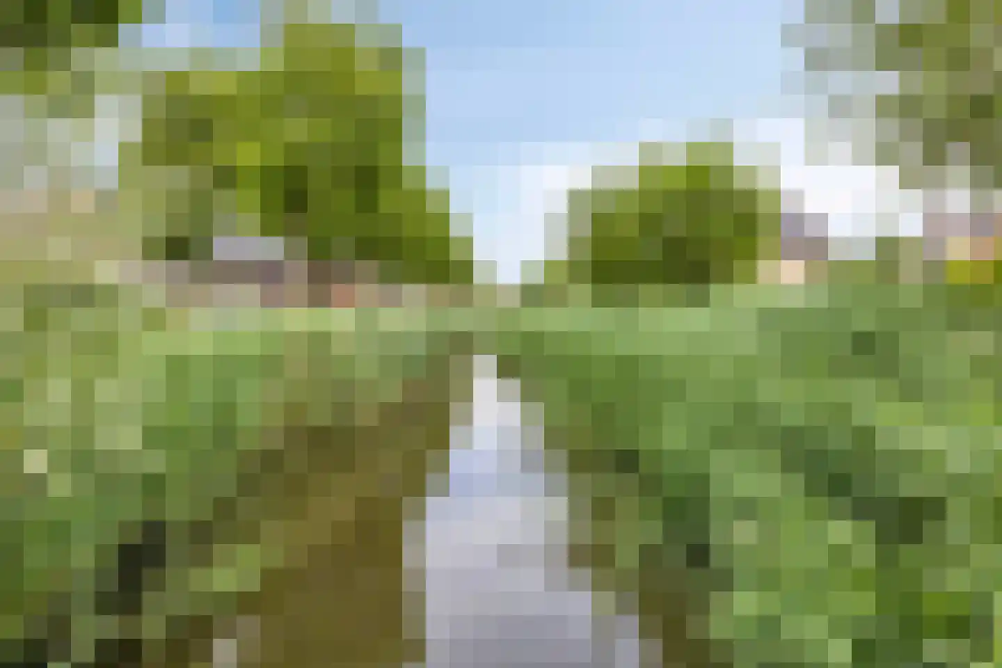Graan voor Visch 43 Waddinxveen thumbnail 35