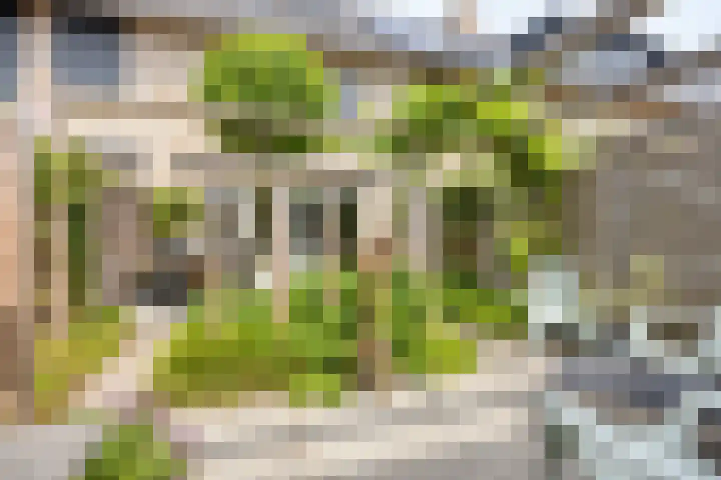 Graan voor Visch 43 Waddinxveen thumbnail 4