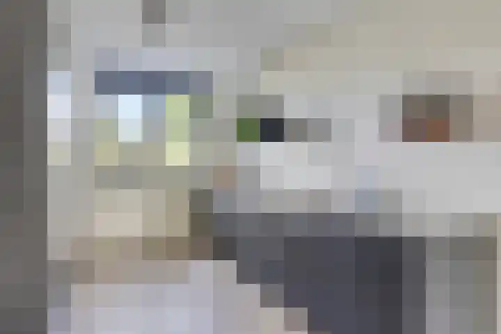 Graan voor Visch 55 Waddinxveen thumbnail 15