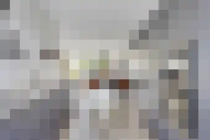 Graan voor Visch 55 Waddinxveen thumbnail 16