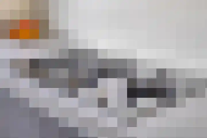 Graan voor Visch 55 Waddinxveen thumbnail 17