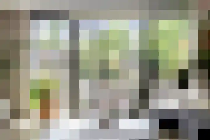Graan voor Visch 55 Waddinxveen thumbnail 20