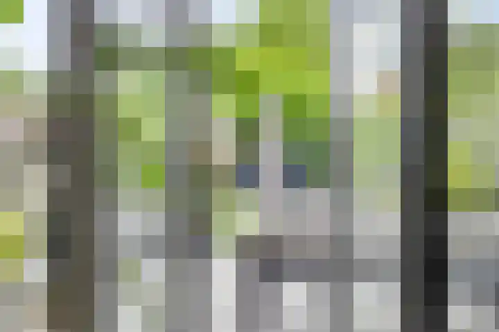 Graan voor Visch 55 Waddinxveen thumbnail 21