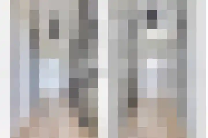 Graan voor Visch 55 Waddinxveen thumbnail 22