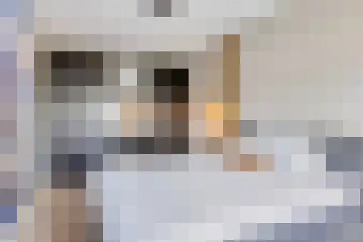Graan voor Visch 55 Waddinxveen thumbnail 24