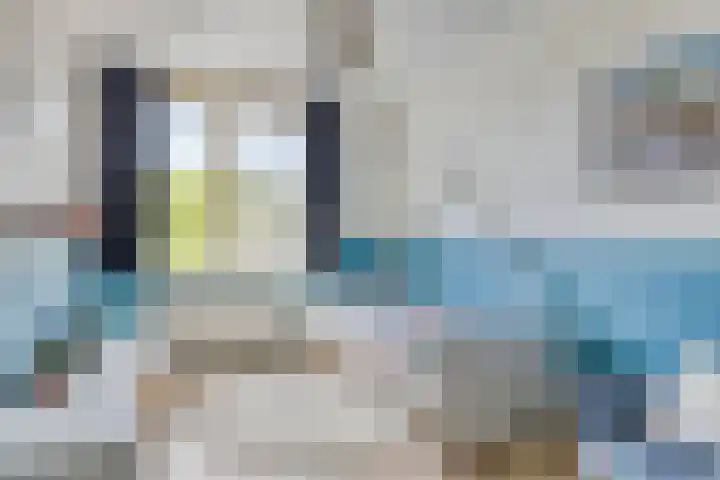 Graan voor Visch 55 Waddinxveen thumbnail 28