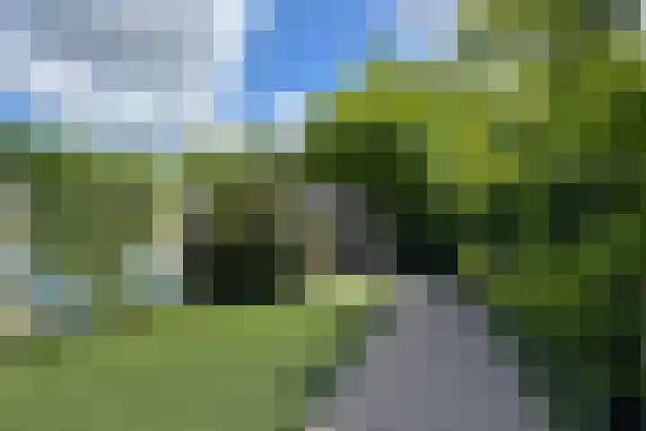 Graan voor Visch 55 Waddinxveen thumbnail 32