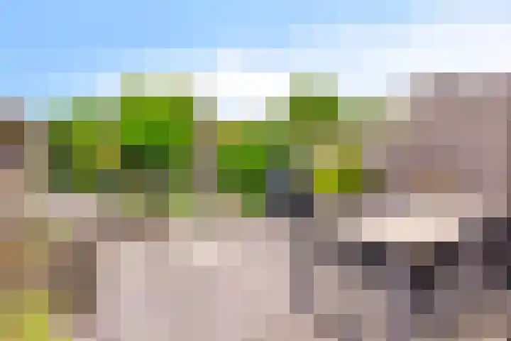 Graan voor Visch 55 Waddinxveen thumbnail 34
