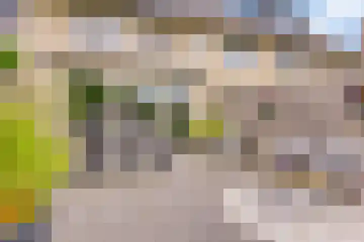 Graan voor Visch 55 Waddinxveen thumbnail 36