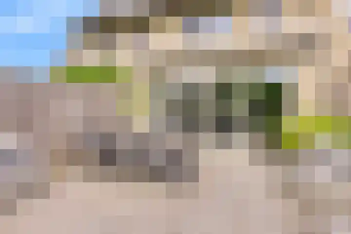 Graan voor Visch 55 Waddinxveen thumbnail 37