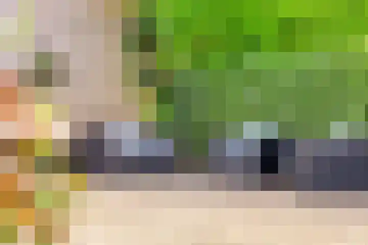 Graan voor Visch 55 Waddinxveen thumbnail 38
