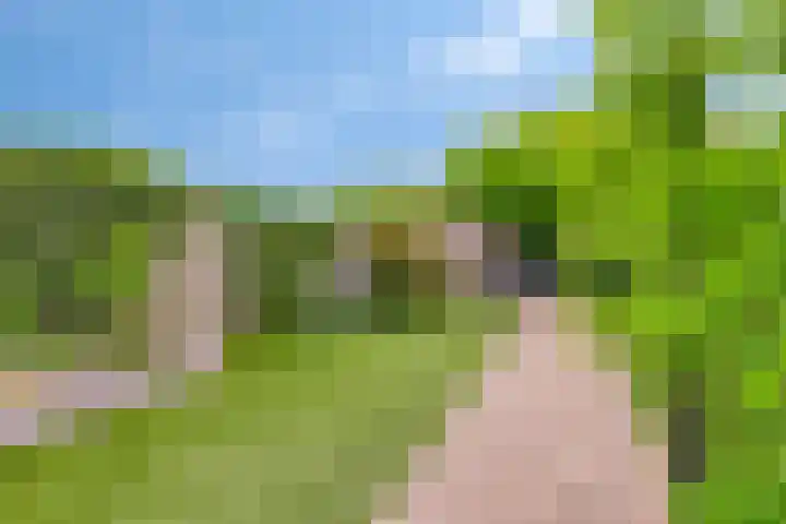 Graan voor Visch 55 Waddinxveen thumbnail 39