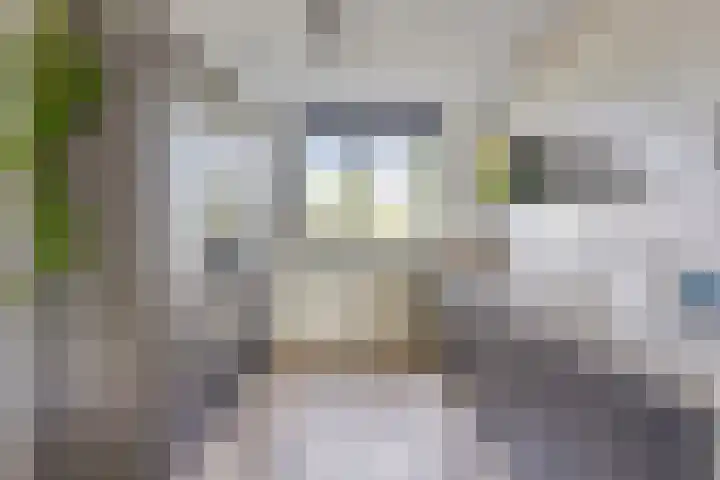 Graan voor Visch 55 Waddinxveen thumbnail 4