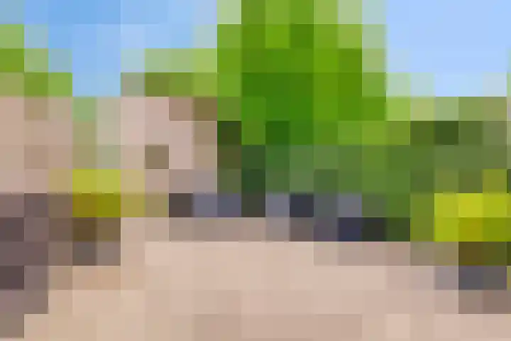 Graan voor Visch 55 Waddinxveen thumbnail 40