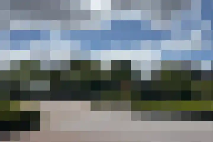 Graan voor Visch 55 Waddinxveen thumbnail 42