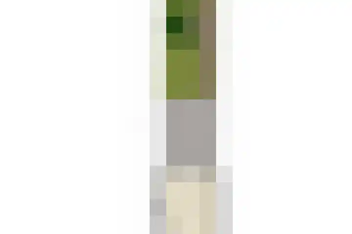 Graan voor Visch 55 Waddinxveen thumbnail 43