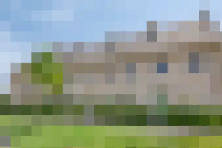 Graan voor Visch 55 Waddinxveen thumbnail 7