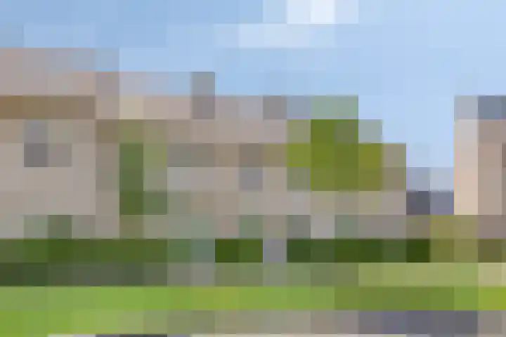 Graan voor Visch 55 Waddinxveen thumbnail 8
