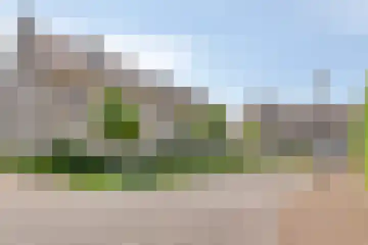 Graan voor Visch 55 Waddinxveen thumbnail 9