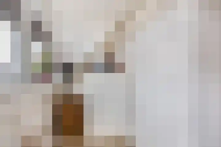 Graanakker 153 Waddinxveen thumbnail 32