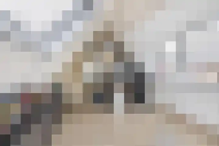 Graanakker 153 Waddinxveen thumbnail 34