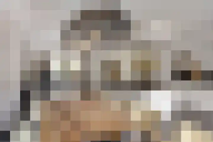 Graanakker 28 Heesch thumbnail 13