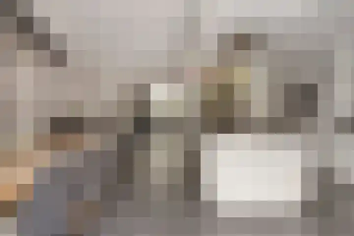 Graanakker 28 Heesch thumbnail 14