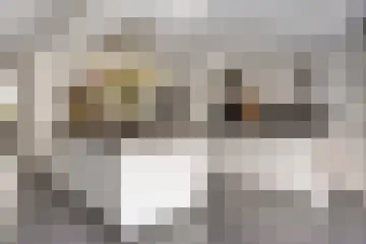 Graanakker 28 Heesch thumbnail 15