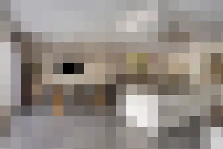 Graanakker 28 Heesch thumbnail 19