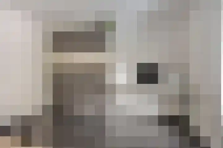 Graanakker 28 Heesch thumbnail 20