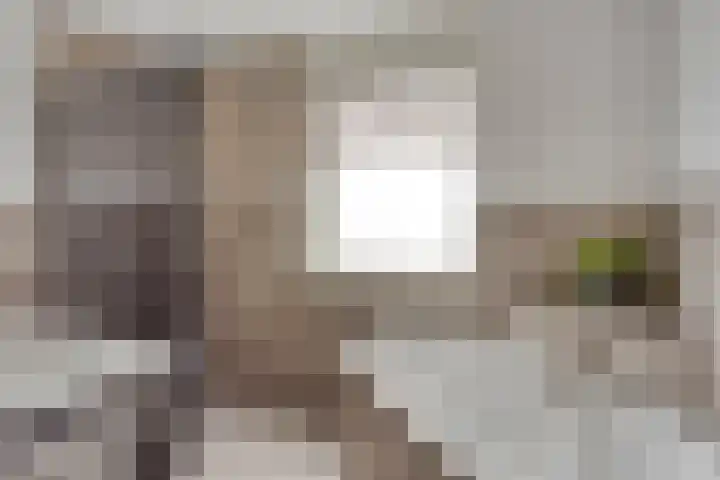 Graanakker 28 Heesch thumbnail 27