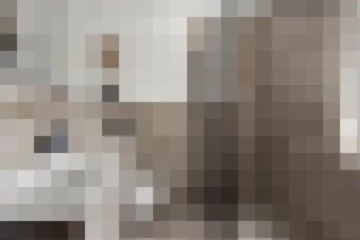 Graanakker 28 Heesch thumbnail 28