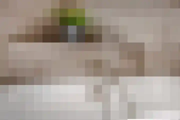 Graanakker 28 Heesch thumbnail 30