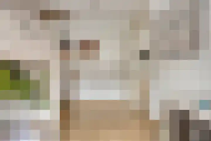 Graanakker 28 Heesch thumbnail 32