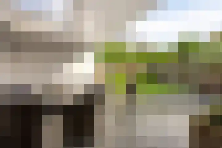 Graanakker 28 Heesch thumbnail 37