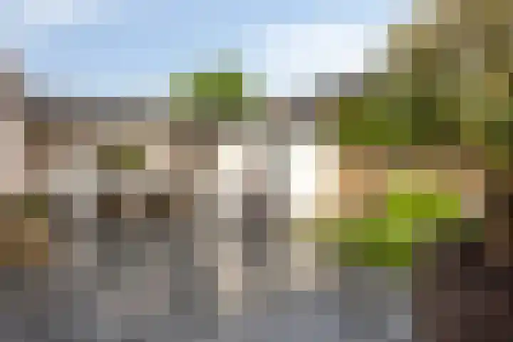 Graanakker 28 Heesch thumbnail 38