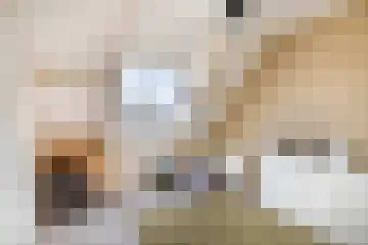 Graanakker 41 Waddinxveen thumbnail 16