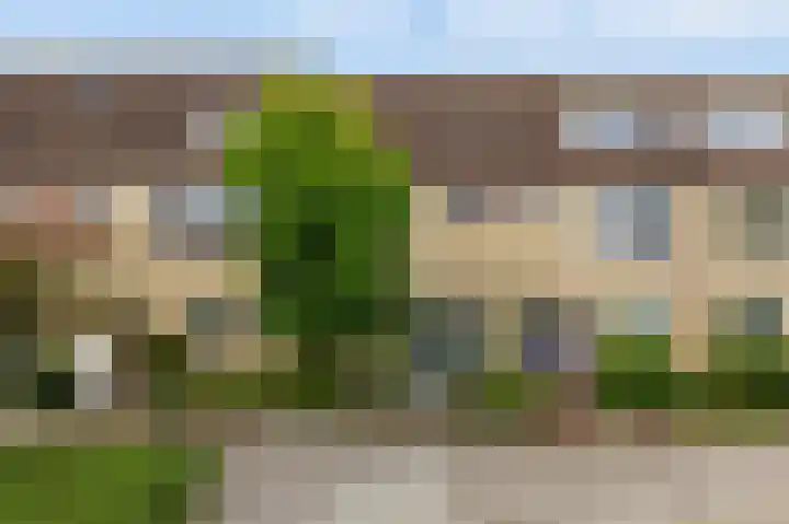 Graanakker 41 Waddinxveen thumbnail 25