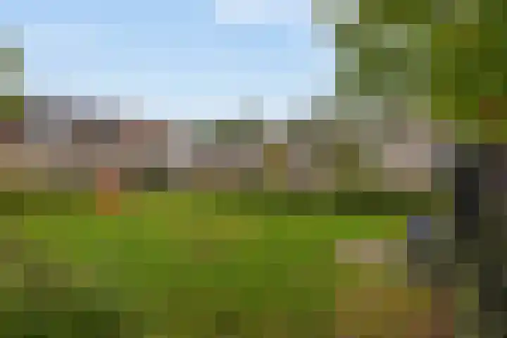 Graanakker 41 Waddinxveen thumbnail 26