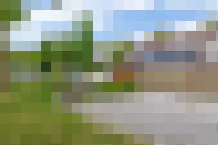 Graanakker 41 Waddinxveen thumbnail 28