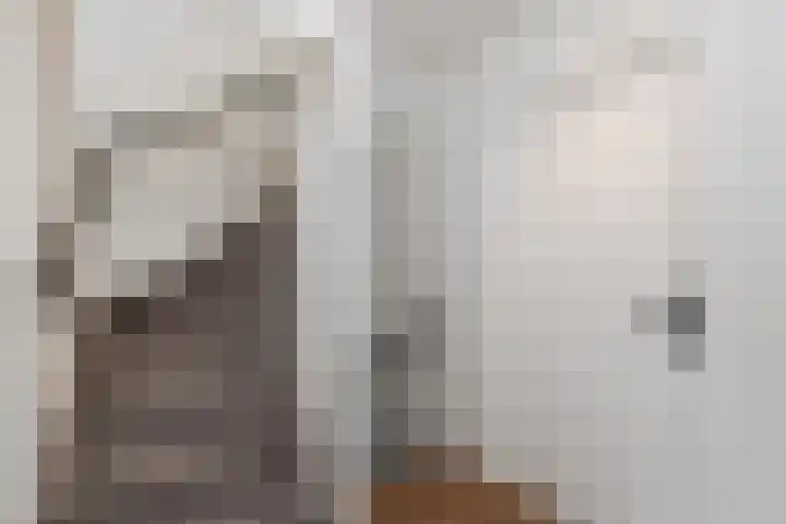 Graanakker 55 Waddinxveen thumbnail 17