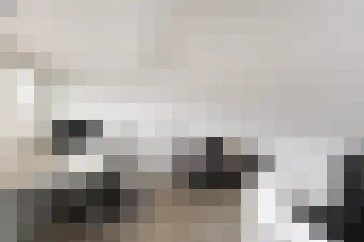 Graanakker 55 Waddinxveen thumbnail 29