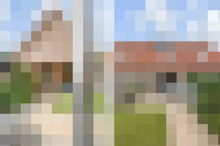 Graanakker 55 Waddinxveen thumbnail 31