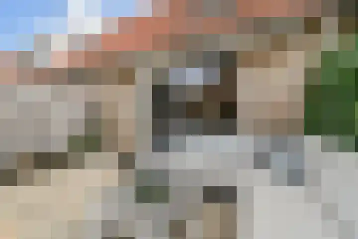 Graanakker 55 Waddinxveen thumbnail 33