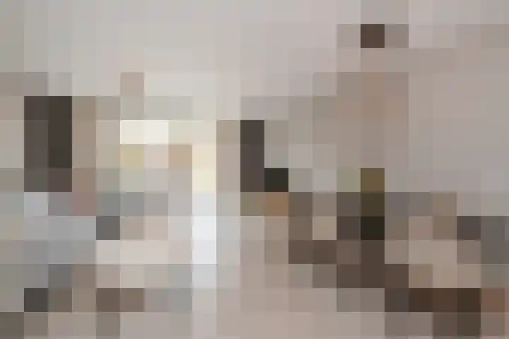 Graanakker 55 Waddinxveen thumbnail 7