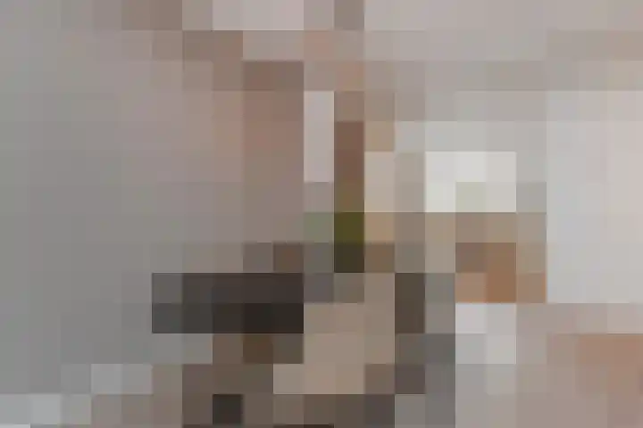 Graanakker 55 Waddinxveen thumbnail 9