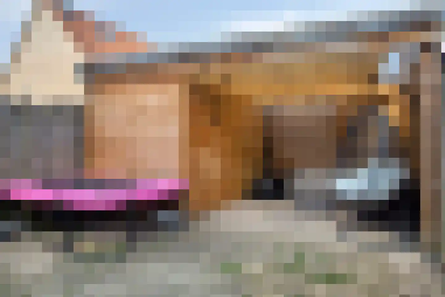 Graanakker 70 Waddinxveen thumbnail 20